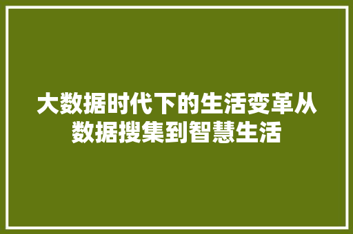 大数据时代下的生活变革从数据搜集到智慧生活