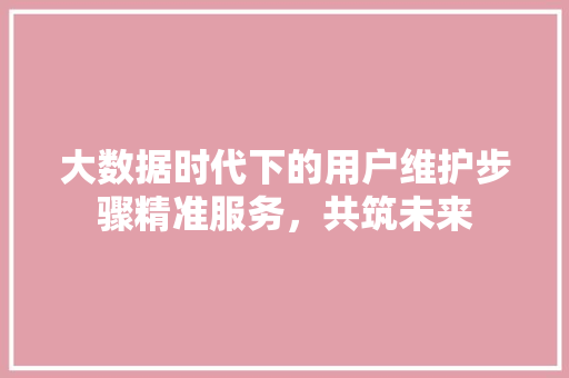 大数据时代下的用户维护步骤精准服务，共筑未来 电脑配置