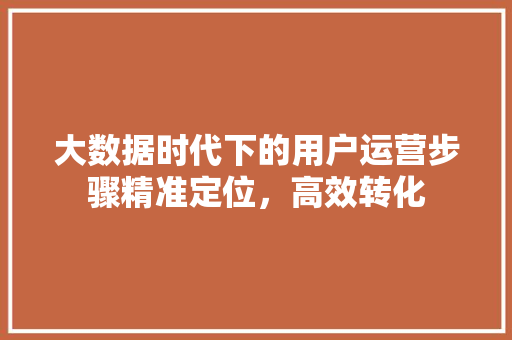大数据时代下的用户运营步骤精准定位，高效转化