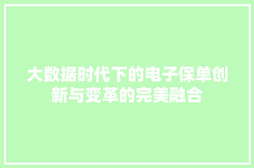 大数据时代下的电子保单创新与变革的完美融合