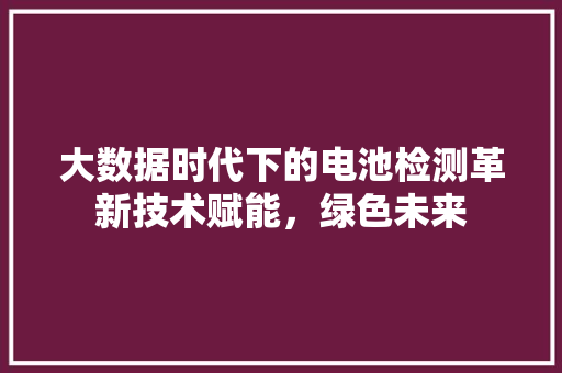大数据时代下的电池检测革新技术赋能，绿色未来