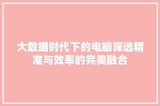 大数据时代下的电脑筛选精准与效率的完美融合