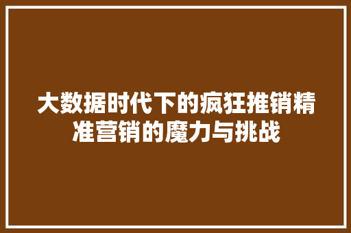 大数据时代下的疯狂推销精准营销的魔力与挑战
