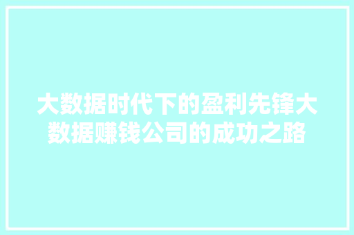 大数据时代下的盈利先锋大数据赚钱公司的成功之路