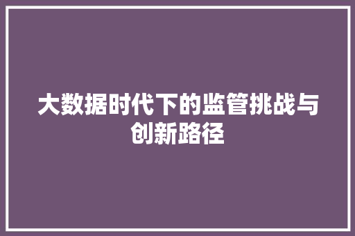 大数据时代下的监管挑战与创新路径