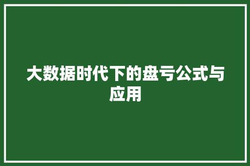大数据时代下的盘亏公式与应用