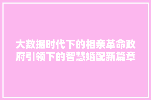 大数据时代下的相亲革命政府引领下的智慧婚配新篇章