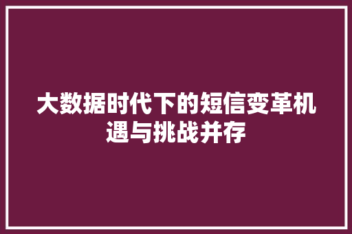 大数据时代下的短信变革机遇与挑战并存