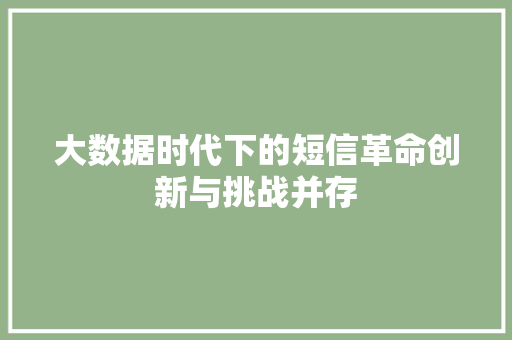 大数据时代下的短信革命创新与挑战并存