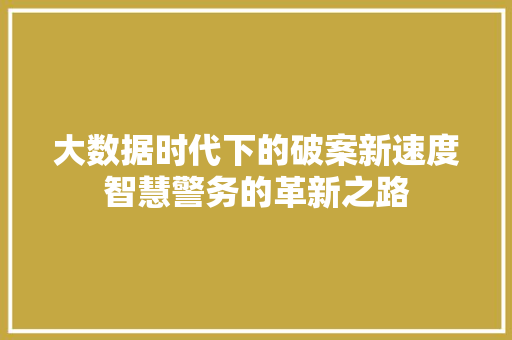 大数据时代下的破案新速度智慧警务的革新之路