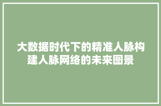 大数据时代下的精准人脉构建人脉网络的未来图景