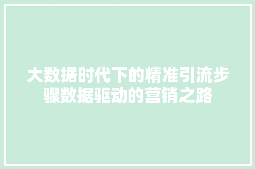 大数据时代下的精准引流步骤数据驱动的营销之路