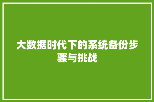 大数据时代下的系统备份步骤与挑战