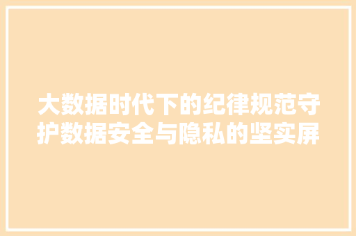 大数据时代下的纪律规范守护数据安全与隐私的坚实屏障