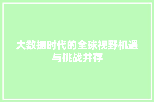 大数据时代的全球视野机遇与挑战并存