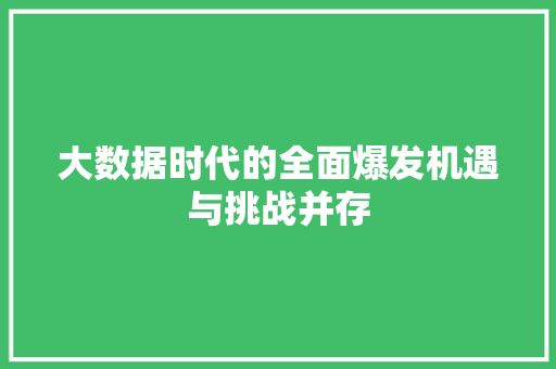 大数据时代的全面爆发机遇与挑战并存
