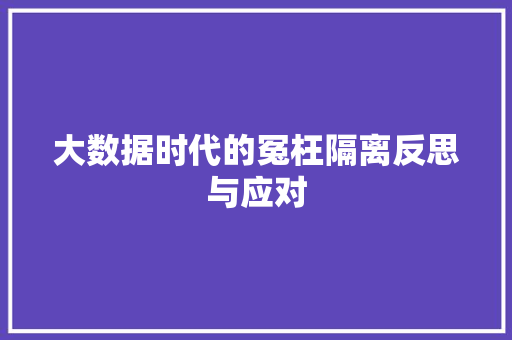 大数据时代的冤枉隔离反思与应对