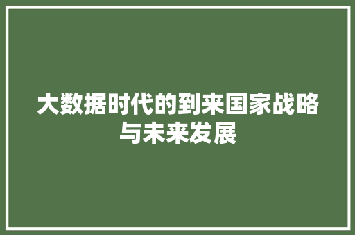 大数据时代的到来国家战略与未来发展