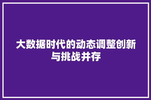 大数据时代的动态调整创新与挑战并存