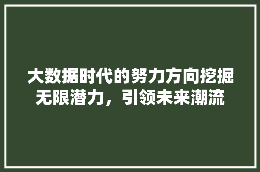 大数据时代的努力方向挖掘无限潜力，引领未来潮流