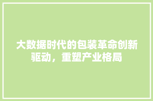 大数据时代的包装革命创新驱动，重塑产业格局