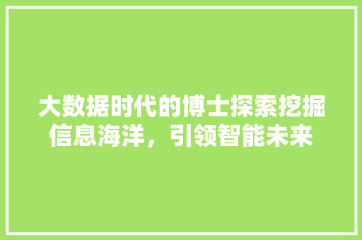 大数据时代的博士探索挖掘信息海洋，引领智能未来