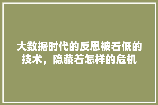 大数据时代的反思被看低的技术，隐藏着怎样的危机