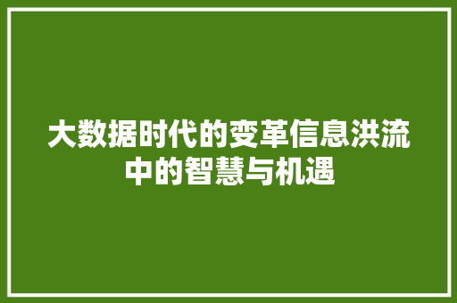 大数据时代的变革信息洪流中的智慧与机遇
