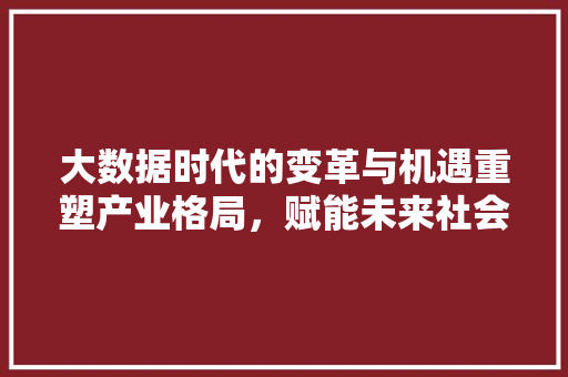 大数据时代的变革与机遇重塑产业格局，赋能未来社会
