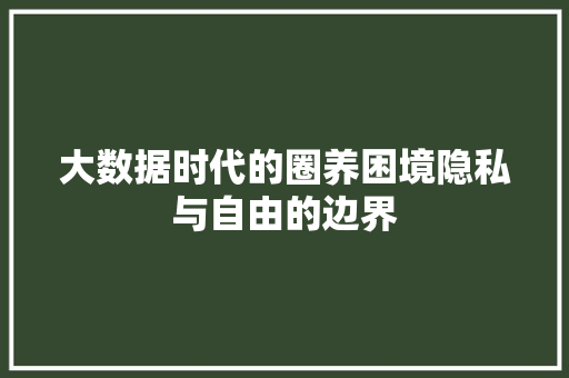 大数据时代的圈养困境隐私与自由的边界
