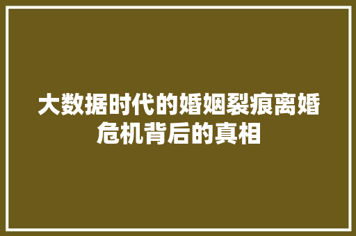 大数据时代的婚姻裂痕离婚危机背后的真相