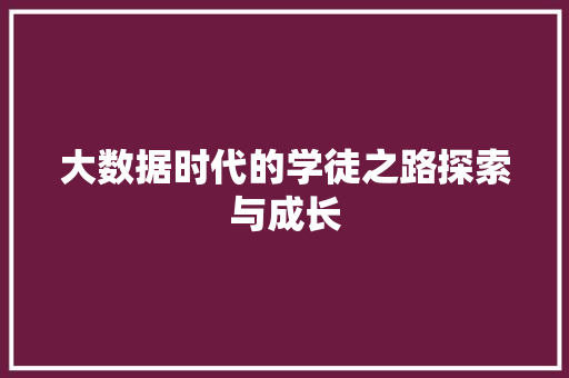 大数据时代的学徒之路探索与成长