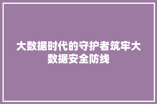 大数据时代的守护者筑牢大数据安全防线