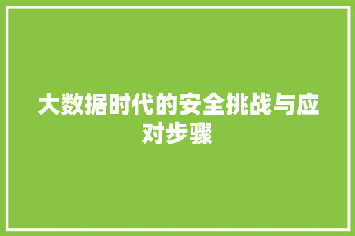 大数据时代的安全挑战与应对步骤