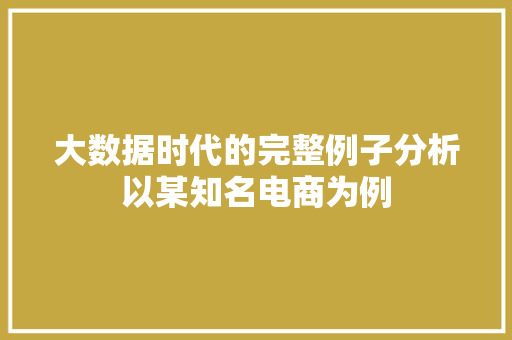 大数据时代的完整例子分析以某知名电商为例
