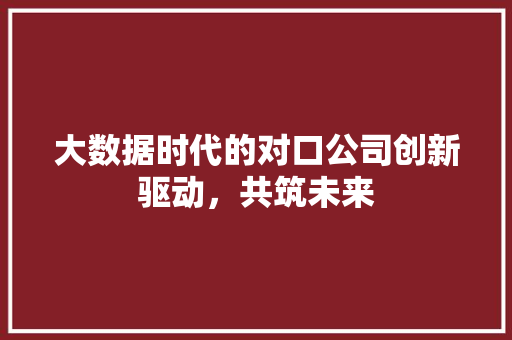 大数据时代的对口公司创新驱动，共筑未来