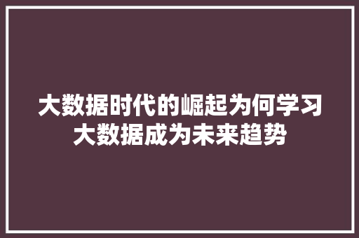 大数据时代的崛起为何学习大数据成为未来趋势