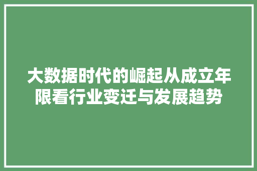 大数据时代的崛起从成立年限看行业变迁与发展趋势