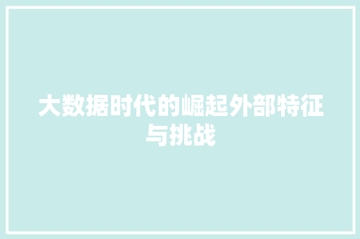 大数据时代的崛起外部特征与挑战