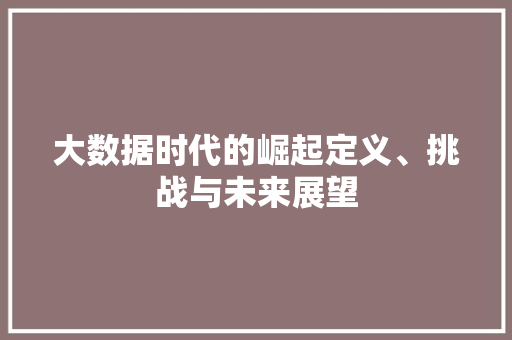 大数据时代的崛起定义、挑战与未来展望