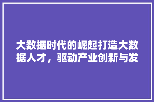 大数据时代的崛起打造大数据人才，驱动产业创新与发展