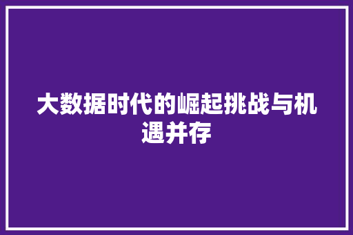 大数据时代的崛起挑战与机遇并存