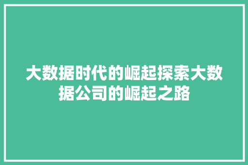 大数据时代的崛起探索大数据公司的崛起之路