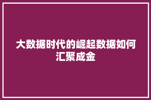 大数据时代的崛起数据如何汇聚成金
