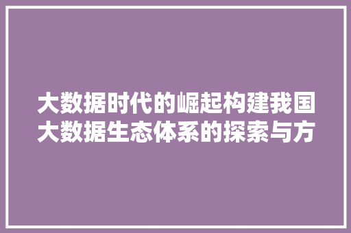 大数据时代的崛起构建我国大数据生态体系的探索与方法