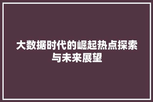 大数据时代的崛起热点探索与未来展望