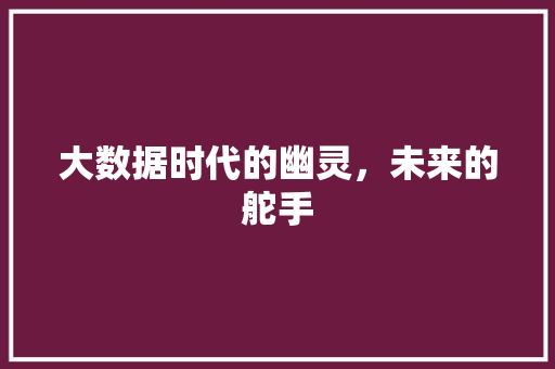 大数据时代的幽灵,未来的舵手 大数据时代的幽灵,未来的舵手