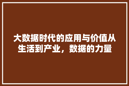 大数据时代的应用与价值从生活到产业，数据的力量