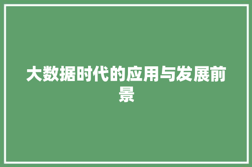 大数据时代的应用与发展前景