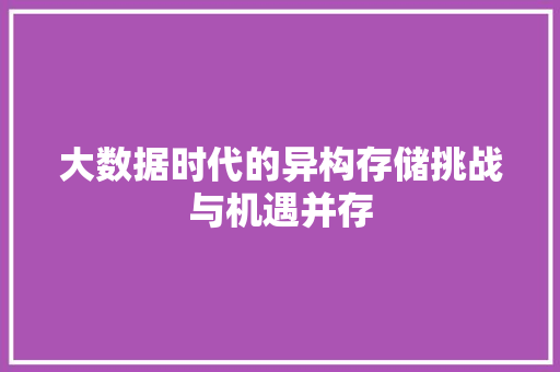 大数据时代的异构存储挑战与机遇并存